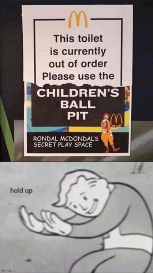 Bro, what the hell? | image tagged in fallout hold up,mcdonalds,memes | made w/ Imgflip meme maker