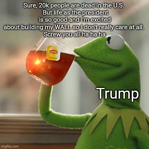 *Trumps brain | Sure, 20k people are dead in the U.S. 
 But life as the president is so good and I'm excited about building my WALL so I don't really care at all. 
Screw you all ha ha ha; Trump | image tagged in memes,but that's none of my business,kermit the frog,donald trump,coronavirus,i don't care | made w/ Imgflip meme maker