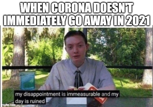sad | WHEN CORONA DOESN'T IMMEDIATELY GO AWAY IN 2021 | image tagged in my dissapointment is immeasurable and my day is ruined | made w/ Imgflip meme maker