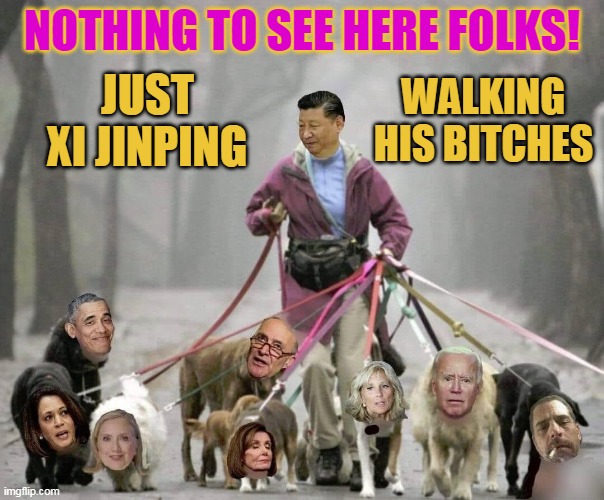 NOTHING TO SEE HERE FOLKS! JUST XI JINPING; WALKING HIS BITCHES | made w/ Imgflip meme maker