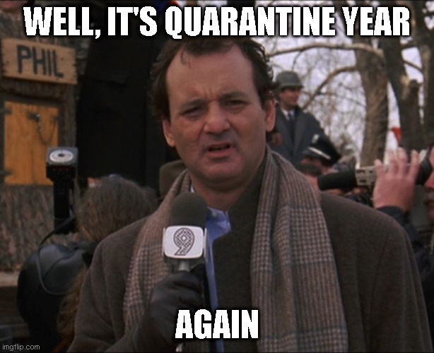 Bill Murray Groundhog Day | WELL, IT'S QUARANTINE YEAR; AGAIN | image tagged in bill murray groundhog day | made w/ Imgflip meme maker