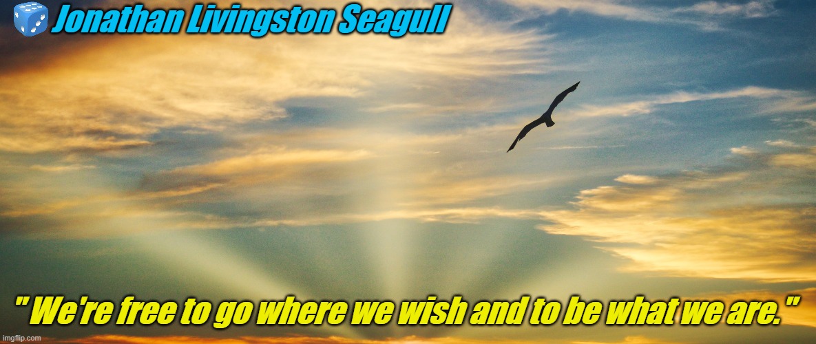 JONATON LIVINGSTON | Jonathan Livingston Seagull; " We're free to go where we wish and to be what we are." | image tagged in jonaton livingston | made w/ Imgflip meme maker