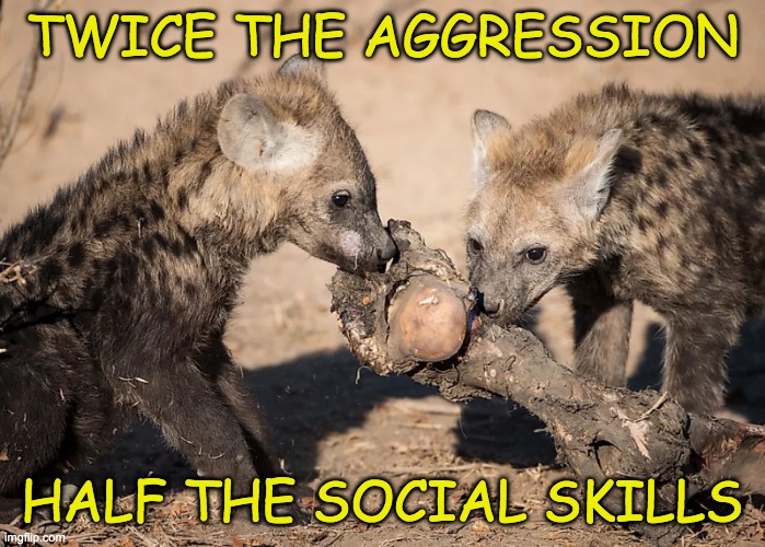 TWICE THE AGGRESSION HALF THE SOCIAL SKILLS | made w/ Imgflip meme maker