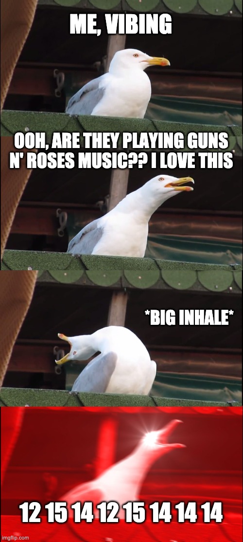 only y'all guitarists out there will get this joke | ME, VIBING; OOH, ARE THEY PLAYING GUNS N' ROSES MUSIC?? I LOVE THIS; *BIG INHALE*; 12 15 14 12 15 14 14 14 | image tagged in memes,inhaling seagull | made w/ Imgflip meme maker