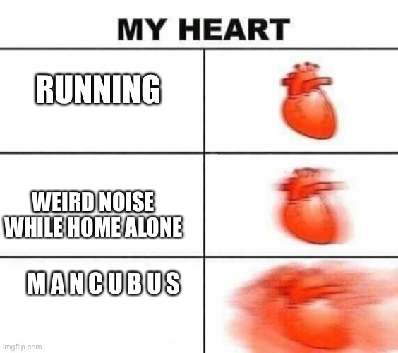 My heart blank | RUNNING WEIRD NOISE WHILE HOME ALONE M A N C U B U S | image tagged in my heart blank | made w/ Imgflip meme maker
