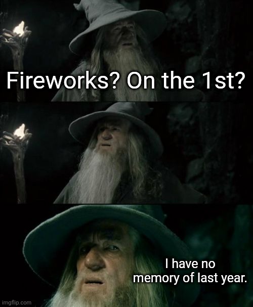 Confused Gandalf Meme | Fireworks? On the 1st? I have no memory of last year. | image tagged in memes,confused gandalf,happy new year,new years,new year | made w/ Imgflip meme maker