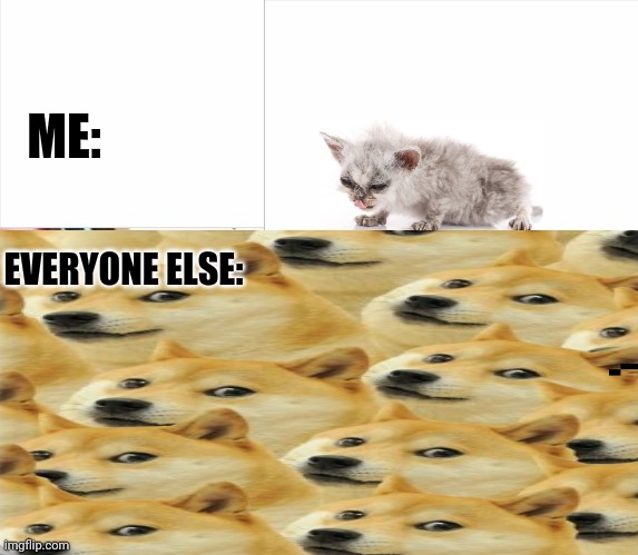 ME:; EVERYONE ELSE: | image tagged in memes,funny,different,doge | made w/ Imgflip meme maker