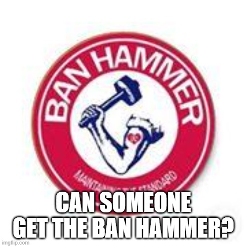 ban hammer | CAN SOMEONE GET THE BAN HAMMER? | image tagged in ban hammer | made w/ Imgflip meme maker
