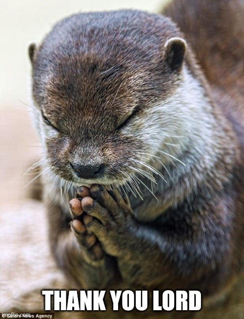 Thank you Lord Otter | THANK YOU LORD | image tagged in thank you lord otter | made w/ Imgflip meme maker