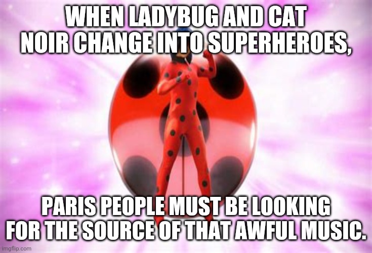 Chat Noir  Miraculous ladybug funny, Miraclous ladybug