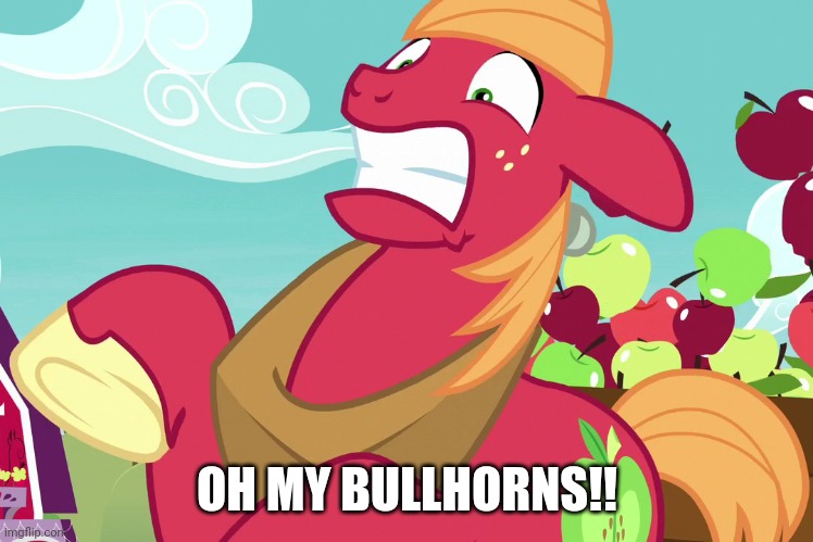 Big Macintosh "OMG" (MLP) | OH MY BULLHORNS!! | image tagged in big macintosh omg mlp | made w/ Imgflip meme maker