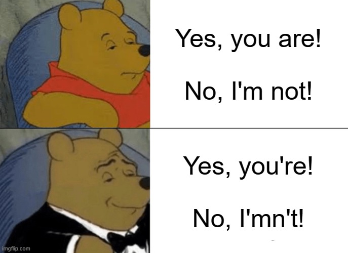 Meme Talk 101 | Yes, you are!
 
No, I'm not! Yes, you're!
 
No, I'mn't! | image tagged in memes,tuxedo winnie the pooh,funny,grammar,stop reading the tags,pie charts | made w/ Imgflip meme maker