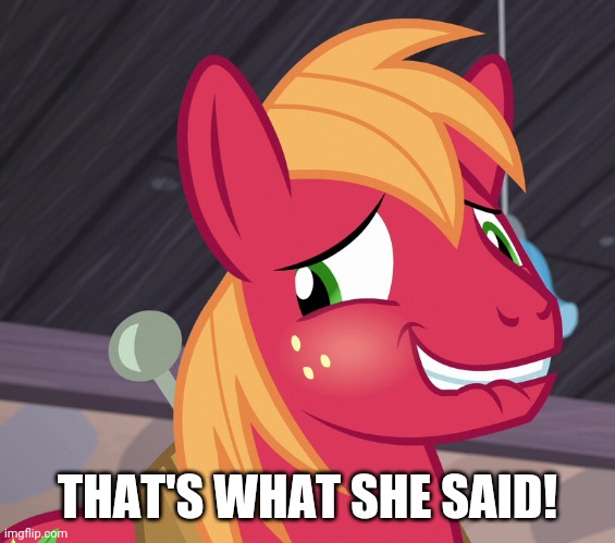 Blushed Big Macintosh (MLP) | THAT'S WHAT SHE SAID! | image tagged in blushed big macintosh mlp | made w/ Imgflip meme maker