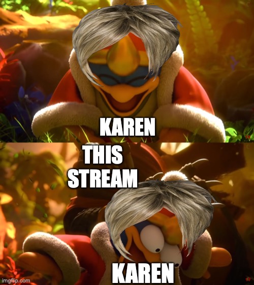 no karens | KAREN; THIS STREAM; KAREN | image tagged in king dedede slapped meme | made w/ Imgflip meme maker