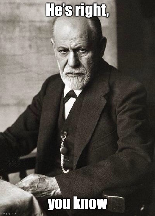 Freud | He’s right, you know | image tagged in freud | made w/ Imgflip meme maker