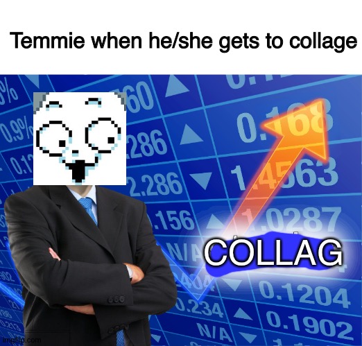 COLLAG | Temmie when he/she gets to collage; COLLAG | image tagged in blank white template,stonks,collage,temmie,undertale,memes | made w/ Imgflip meme maker