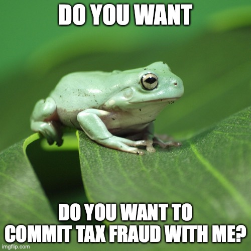 Tax faurd | DO YOU WANT; DO YOU WANT TO COMMIT TAX FRAUD WITH ME? | image tagged in froeg | made w/ Imgflip meme maker