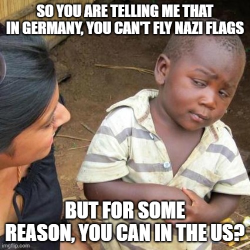 It's ridiculous. | SO YOU ARE TELLING ME THAT IN GERMANY, YOU CAN'T FLY NAZI FLAGS; BUT FOR SOME REASON, YOU CAN IN THE US? | image tagged in memes,third world skeptical kid | made w/ Imgflip meme maker