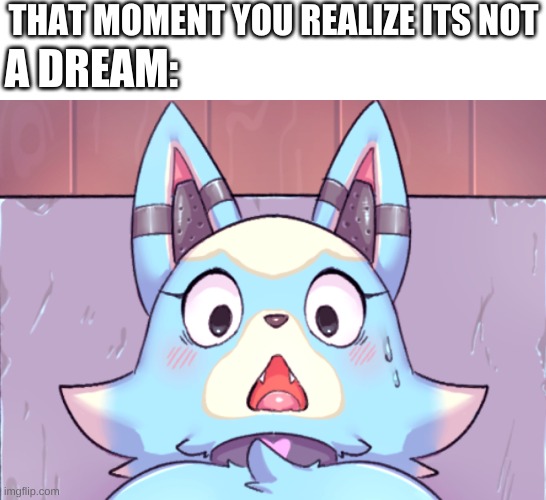 Happened to me | THAT MOMENT YOU REALIZE ITS NOT; A DREAM: | image tagged in surprised skye | made w/ Imgflip meme maker
