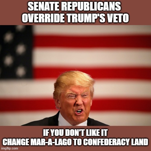 Banish This Would-Be Dictator to Mar-a-Lago | SENATE REPUBLICANS 
OVERRIDE TRUMP'S VETO; IF YOU DON'T LIKE IT
CHANGE MAR-A-LAGO TO CONFEDERACY LAND | image tagged in traitor,treason,impeached,criminal,corrupt | made w/ Imgflip meme maker