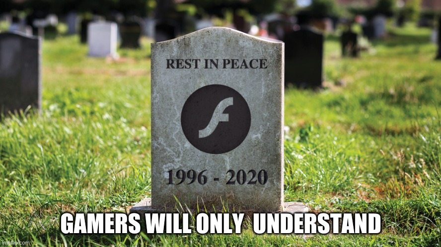 ;-; | GAMERS WILL ONLY  UNDERSTAND | image tagged in flashes end | made w/ Imgflip meme maker