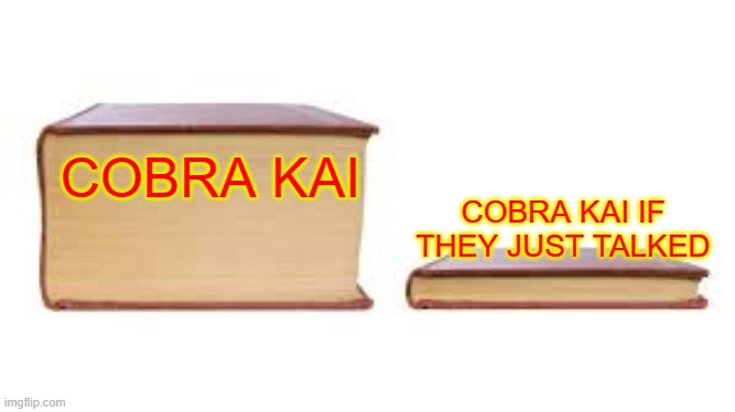 Cobra Kai season 3 | COBRA KAI; COBRA KAI IF THEY JUST TALKED | image tagged in big book small book | made w/ Imgflip meme maker