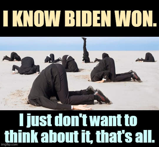 Conservative tears | I KNOW BIDEN WON. I just don't want to 
think about it, that's all. | image tagged in trump,loser,biden,winner,tough | made w/ Imgflip meme maker