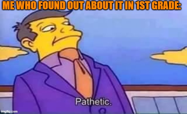skinner pathetic | ME WHO FOUND OUT ABOUT IT IN 1ST GRADE: | image tagged in skinner pathetic | made w/ Imgflip meme maker