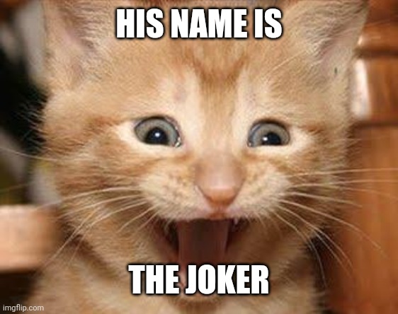 Excited Cat | HIS NAME IS; THE JOKER | image tagged in memes,excited cat | made w/ Imgflip meme maker