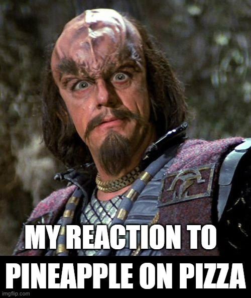 The Debate Continues | PINEAPPLE ON PIZZA; MY REACTION TO | image tagged in klingons,klingon,star trek | made w/ Imgflip meme maker