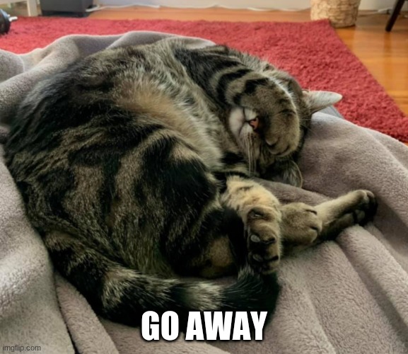 Go away | GO AWAY | image tagged in go away,cats,anti-social cats,lucky the duran duran kitty | made w/ Imgflip meme maker