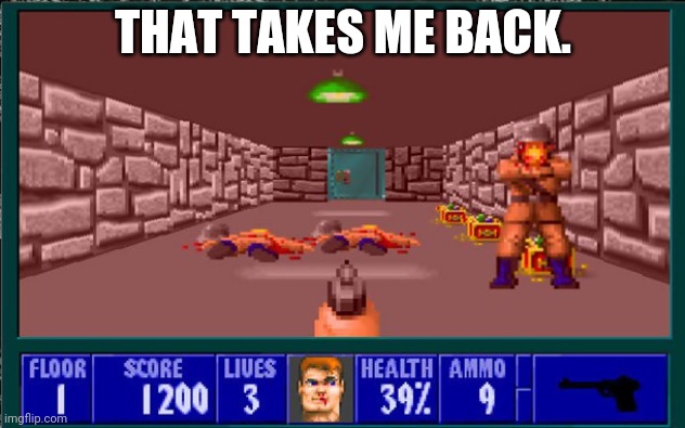wolfenstein | THAT TAKES ME BACK. | image tagged in wolfenstein | made w/ Imgflip meme maker
