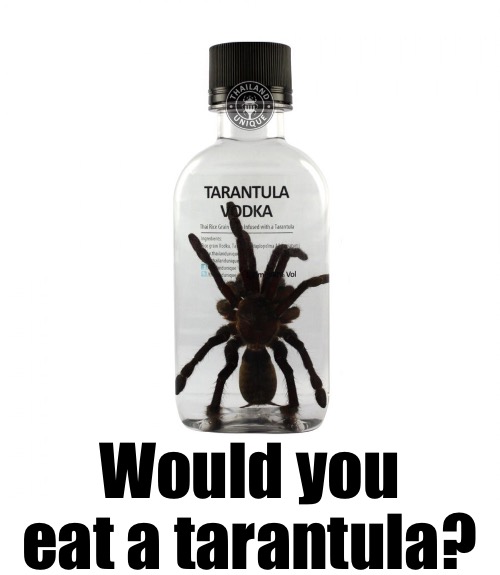 Would you eat a tarantula? | made w/ Imgflip meme maker