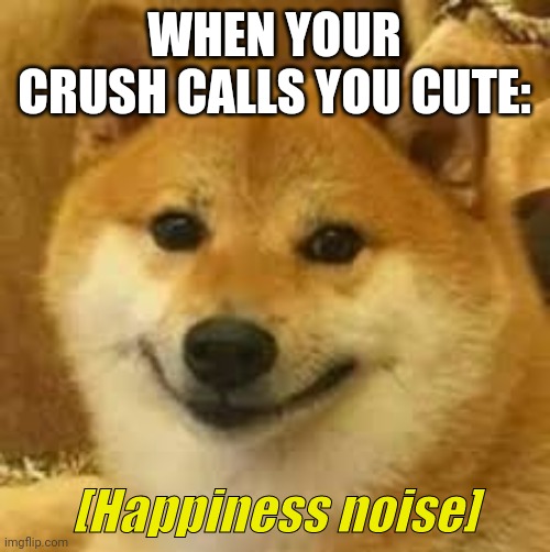 Shibe | WHEN YOUR CRUSH CALLS YOU CUTE: | image tagged in shibe | made w/ Imgflip meme maker