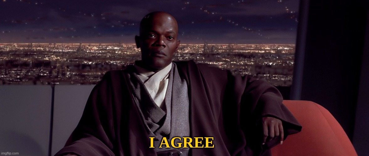 Mace Windu I agree | I AGREE | image tagged in mace windu i agree | made w/ Imgflip meme maker