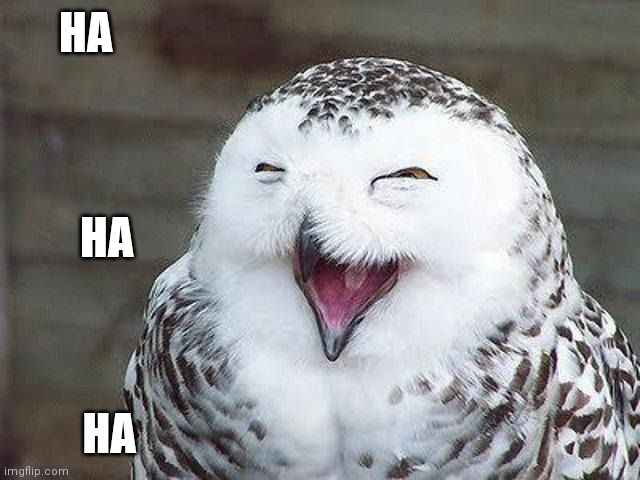 HA HA HA | made w/ Imgflip meme maker