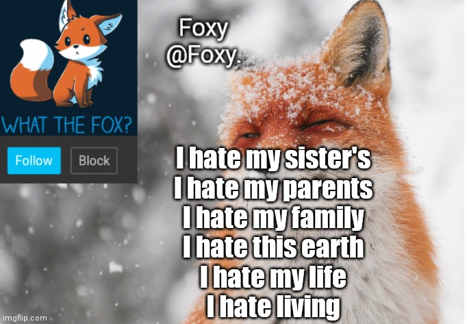 Foxy's announcement template | I hate my sister's
I hate my parents
I hate my family
I hate this earth
I hate my life
I hate living | image tagged in foxy's announcement template | made w/ Imgflip meme maker