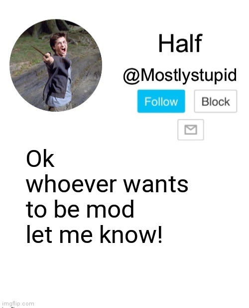 Mostlystupid template | Ok whoever wants to be mod let me know! | image tagged in mostlystupid template | made w/ Imgflip meme maker