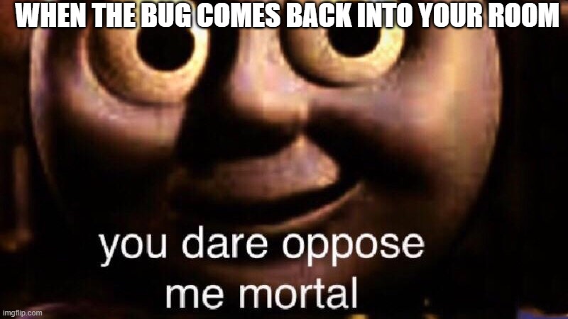 You dare oppose me mortal | WHEN THE BUG COMES BACK INTO YOUR ROOM | image tagged in you dare oppose me mortal | made w/ Imgflip meme maker