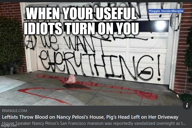 WHEN YOUR USEFUL IDIOTS TURN ON YOU | image tagged in nancy pelosi | made w/ Imgflip meme maker