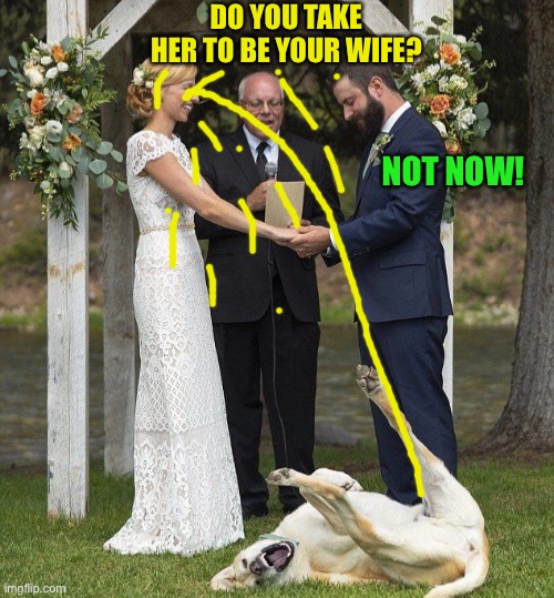 DO YOU TAKE HER TO BE YOUR WIFE? NOT NOW! | made w/ Imgflip meme maker