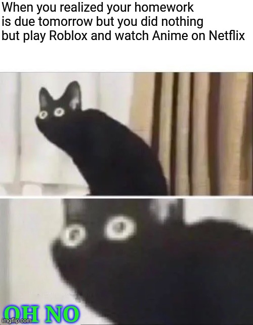 Oh No Black Cat | When you realized your homework is due tomorrow but you did nothing but play Roblox and watch Anime on Netflix OH NO | image tagged in oh no black cat | made w/ Imgflip meme maker