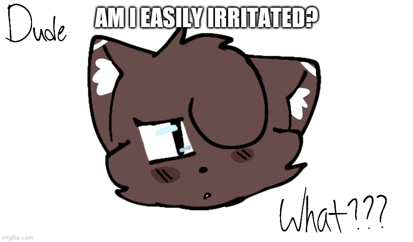 Bruh | AM I EASILY IRRITATED? | image tagged in bruh | made w/ Imgflip meme maker