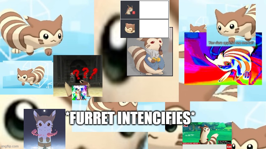 thats alot of furret | *FURRET INTENCIFIES* | image tagged in furret,furret walcc,pokemon | made w/ Imgflip meme maker
