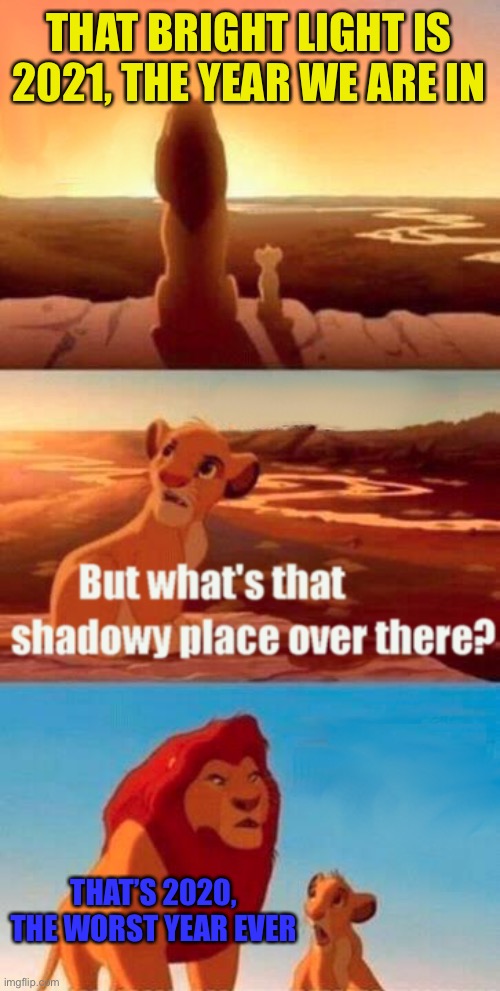 2020 is gone! Say hello to 2021, which will be a good year, | THAT BRIGHT LIGHT IS 2021, THE YEAR WE ARE IN; THAT’S 2020, THE WORST YEAR EVER | image tagged in memes,simba shadowy place,2020,2021,funny memes | made w/ Imgflip meme maker