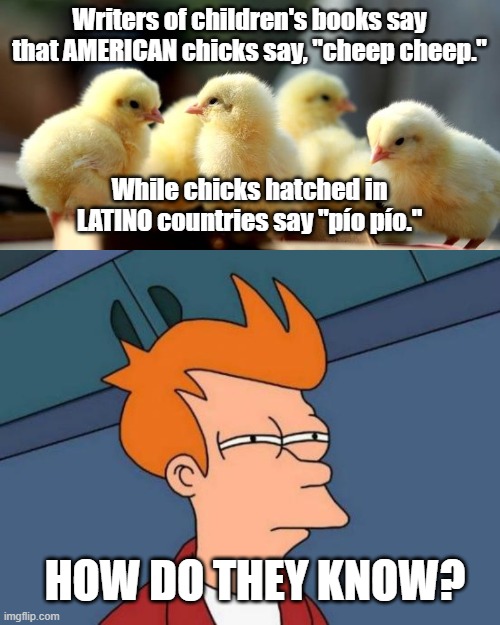 Writers of children's books say that AMERICAN chicks say, "cheep cheep."; While chicks hatched in LATINO countries say "pío pío."; HOW DO THEY KNOW? | image tagged in memes,futurama fry | made w/ Imgflip meme maker