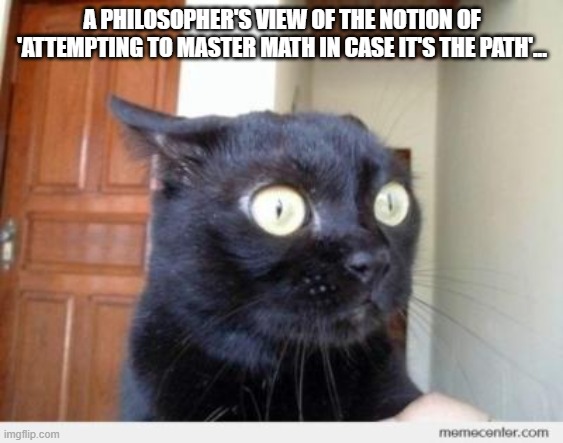 Scared Cat | A PHILOSOPHER'S VIEW OF THE NOTION OF 'ATTEMPTING TO MASTER MATH IN CASE IT'S THE PATH'... | image tagged in scared cat | made w/ Imgflip meme maker