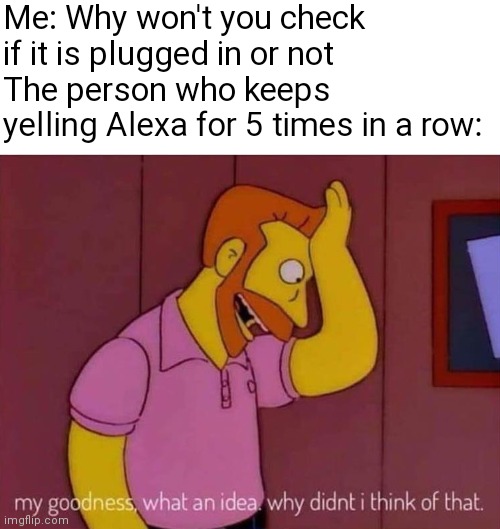 my goodness what an idea why didn't I think of that | Me: Why won't you check if it is plugged in or not
The person who keeps yelling Alexa for 5 times in a row: | image tagged in my goodness what an idea why didn't i think of that | made w/ Imgflip meme maker