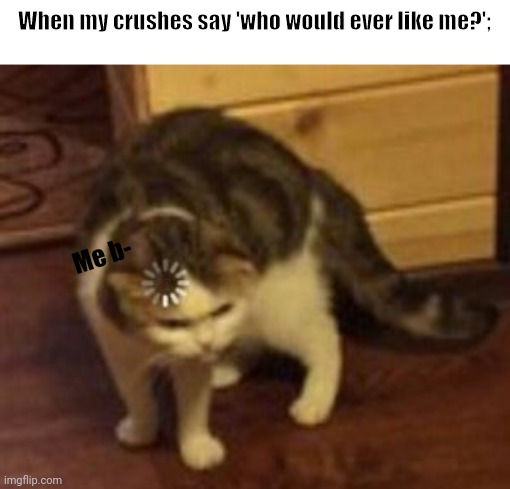 Loading cat | When my crushes say 'who would ever like me?';; Me b- | image tagged in loading cat,crush | made w/ Imgflip meme maker