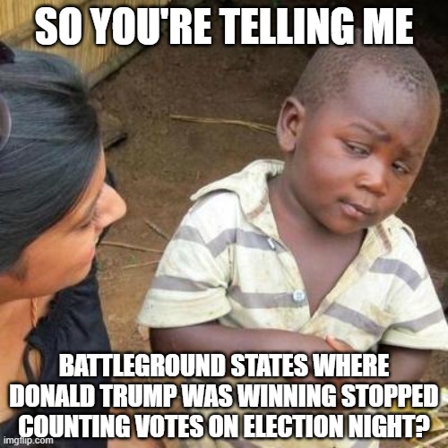So You're Telling Me: Battleground states where Donald Trump was winning stopped counting votes on election night? | SO YOU'RE TELLING ME; BATTLEGROUND STATES WHERE DONALD TRUMP WAS WINNING STOPPED COUNTING VOTES ON ELECTION NIGHT? | image tagged in so you're telling me | made w/ Imgflip meme maker